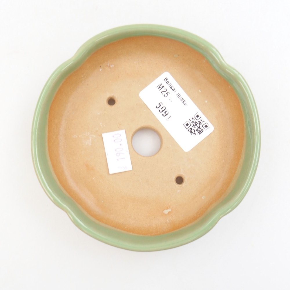 Cuenco bonsái de cerámica 22 x 17 x 5 cm, verde