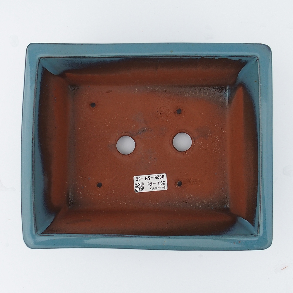 Cuenco 26 x 21,5 x 10 cm azul