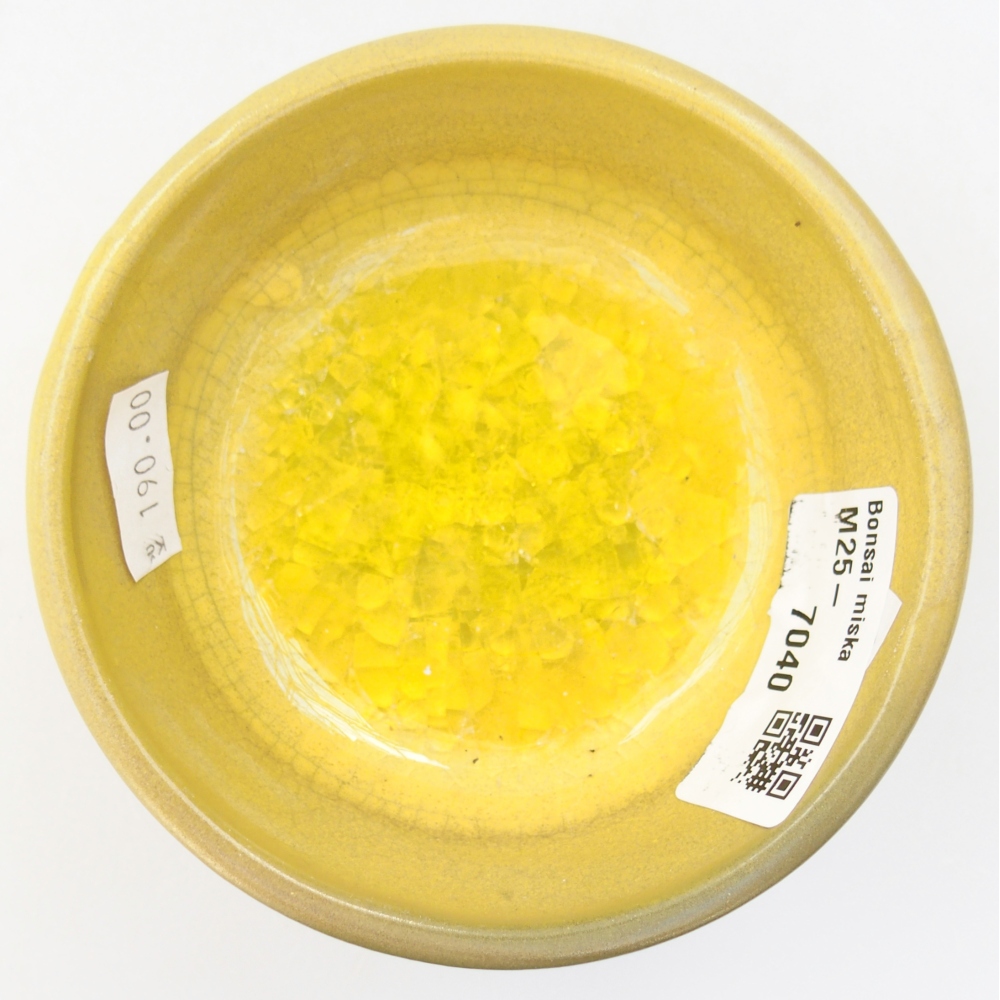 Cuenco bonsái de cerámica 9,5 x 9,5 x 5 cm, amarillo