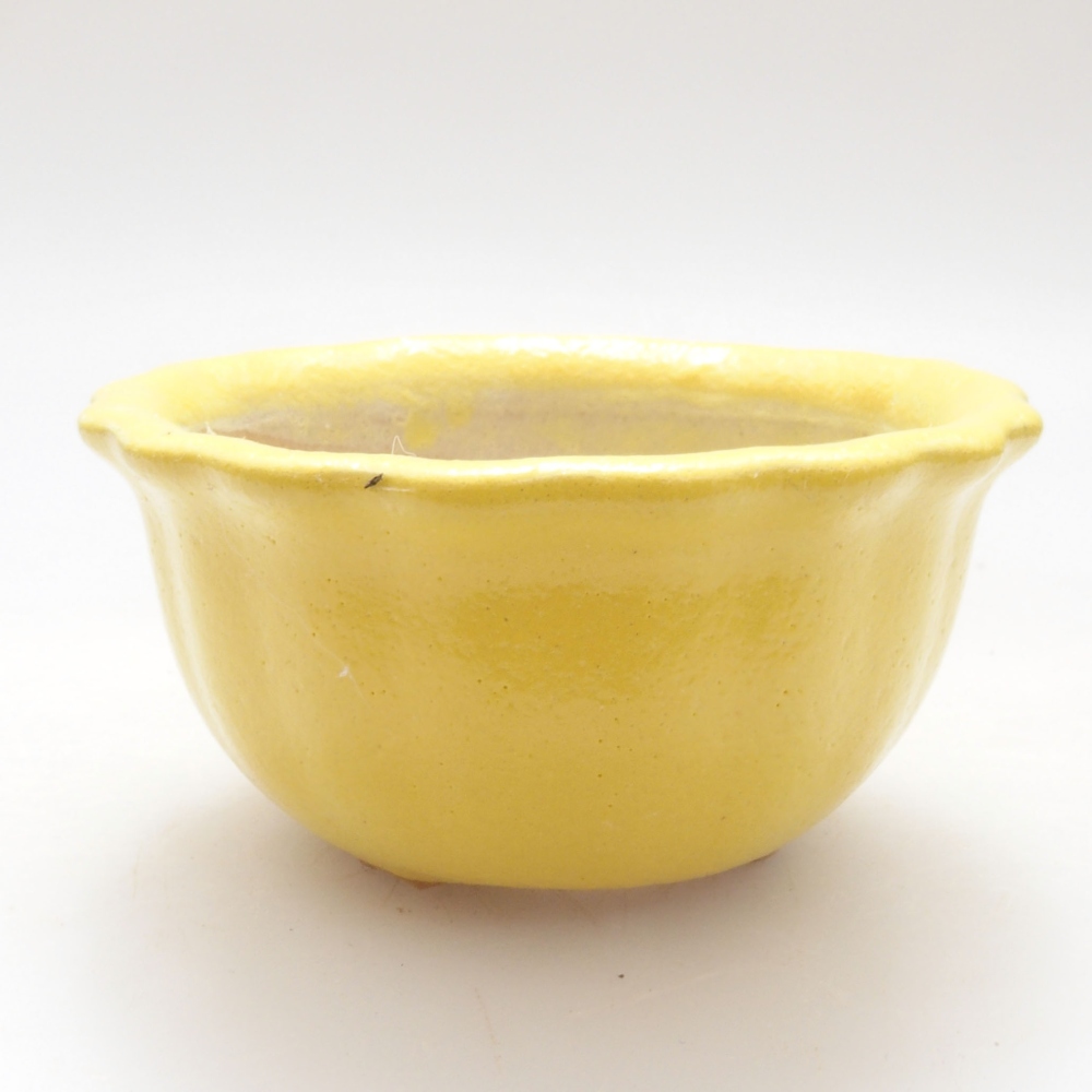 Cuenco bonsái de cerámica 7 x 3 x 3,5 cm, amarillo