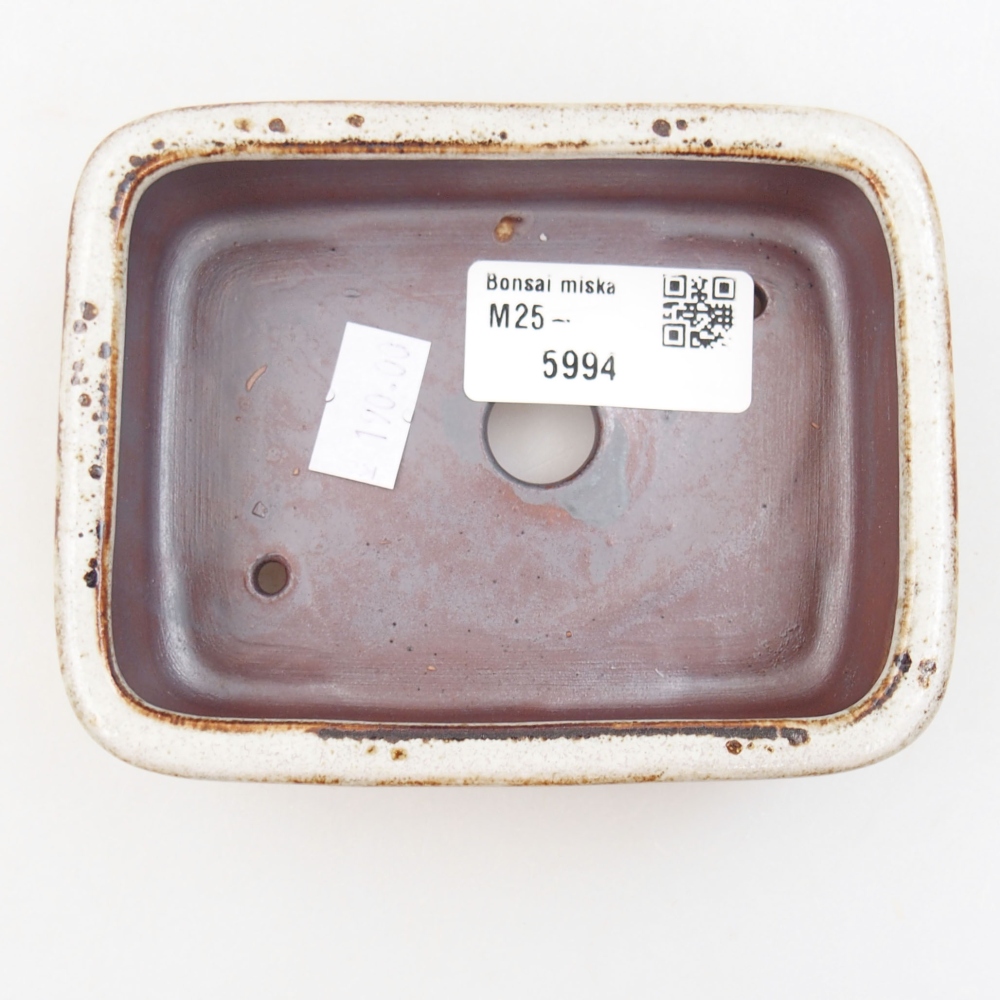 Cuenco bonsái de cerámica 22 x 17 x 5 cm, verde