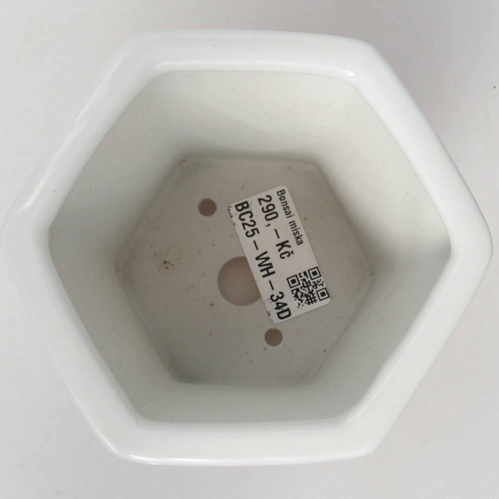 Cuenco bonsái de cerámica 10,5 x 9,5 x 9 cm, color blanco