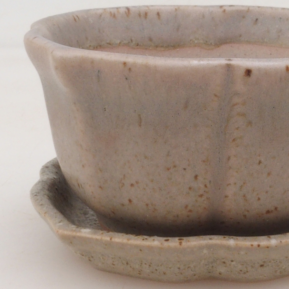 Bonsai cuenco + platillo H95 - beige