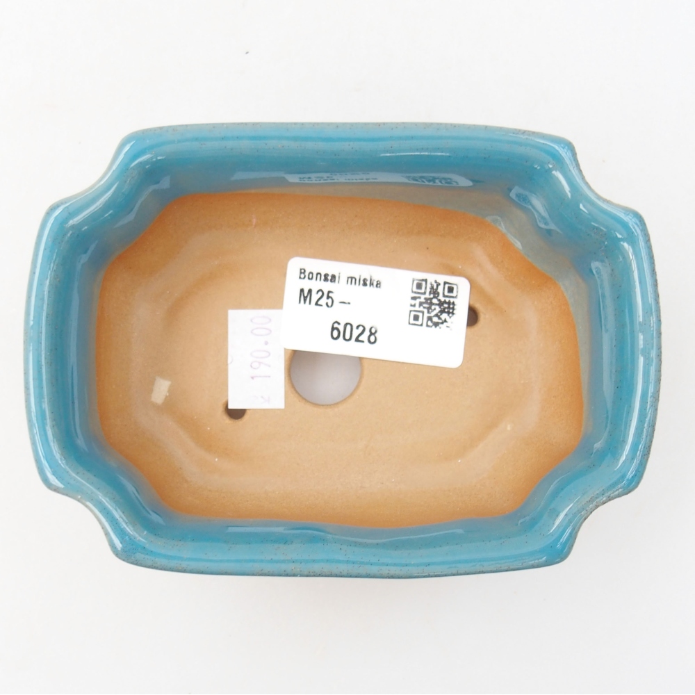 Cuenco bonsái de cerámica 22 x 17 x 5 cm, verde