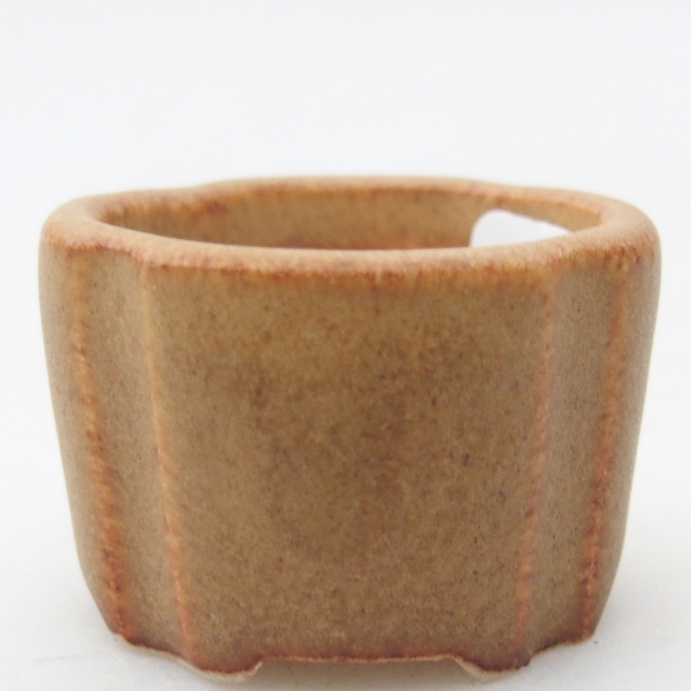 Cuenco mini bonsái 3,5 x 3,5 x 2,5 cm, marrón