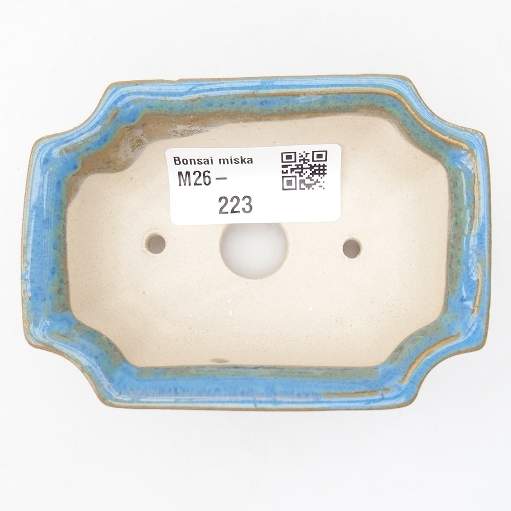 Cuenco mini bonsái 9 x 6,5 x 3,5 cm, color azul