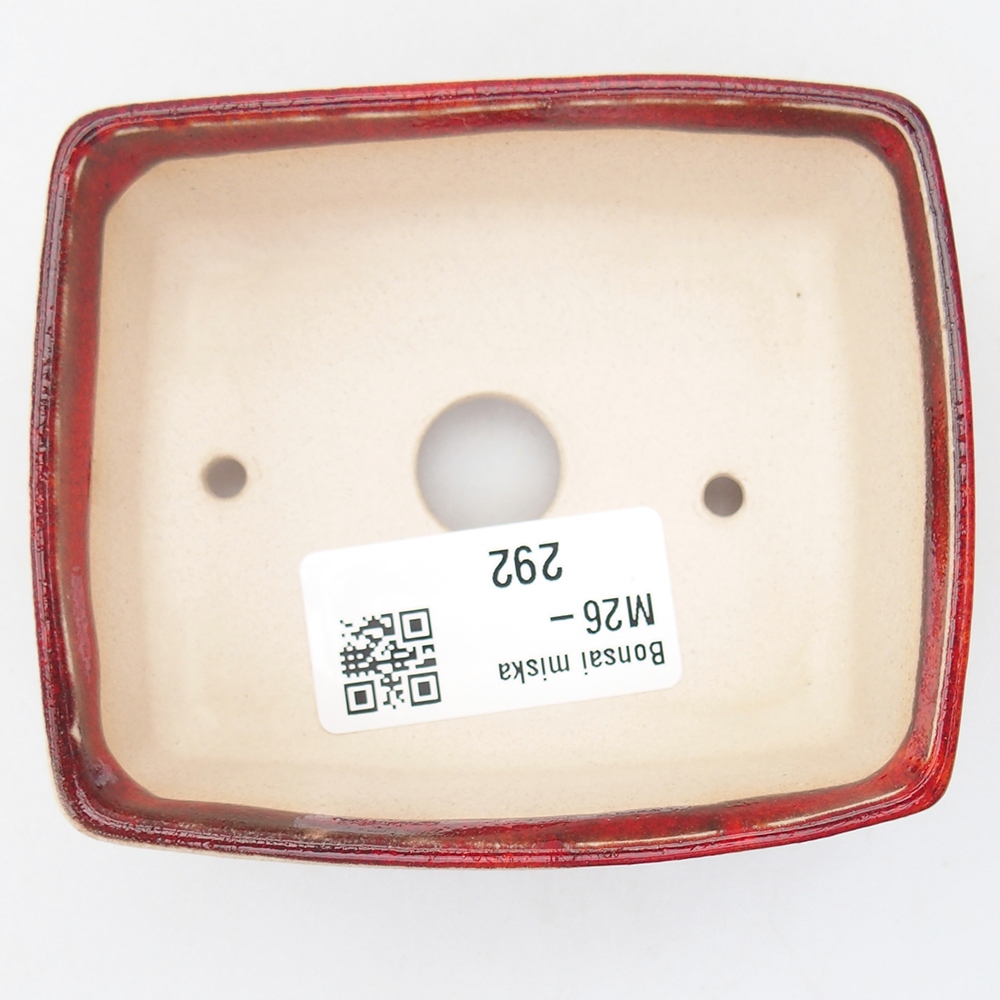 Cuenco mini bonsái 9 x 7,5 x 3,5 cm, color rojo