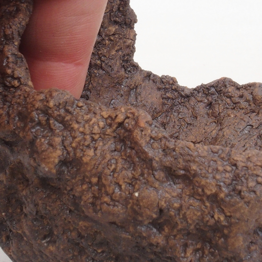 Concha de cerámica 9 x 8 x 9,5 cm , color marrón