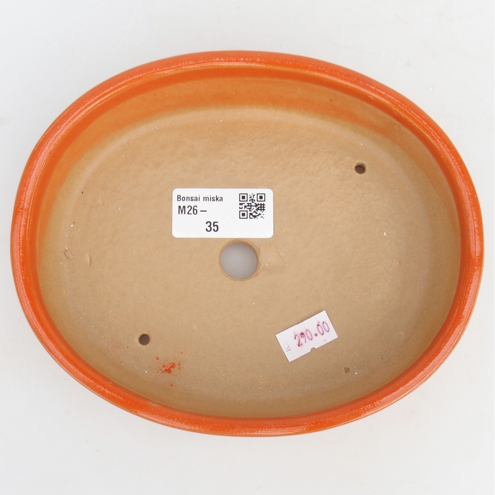 Cuenco bonsái de cerámica 17 x 14 x 4 cm, naranja