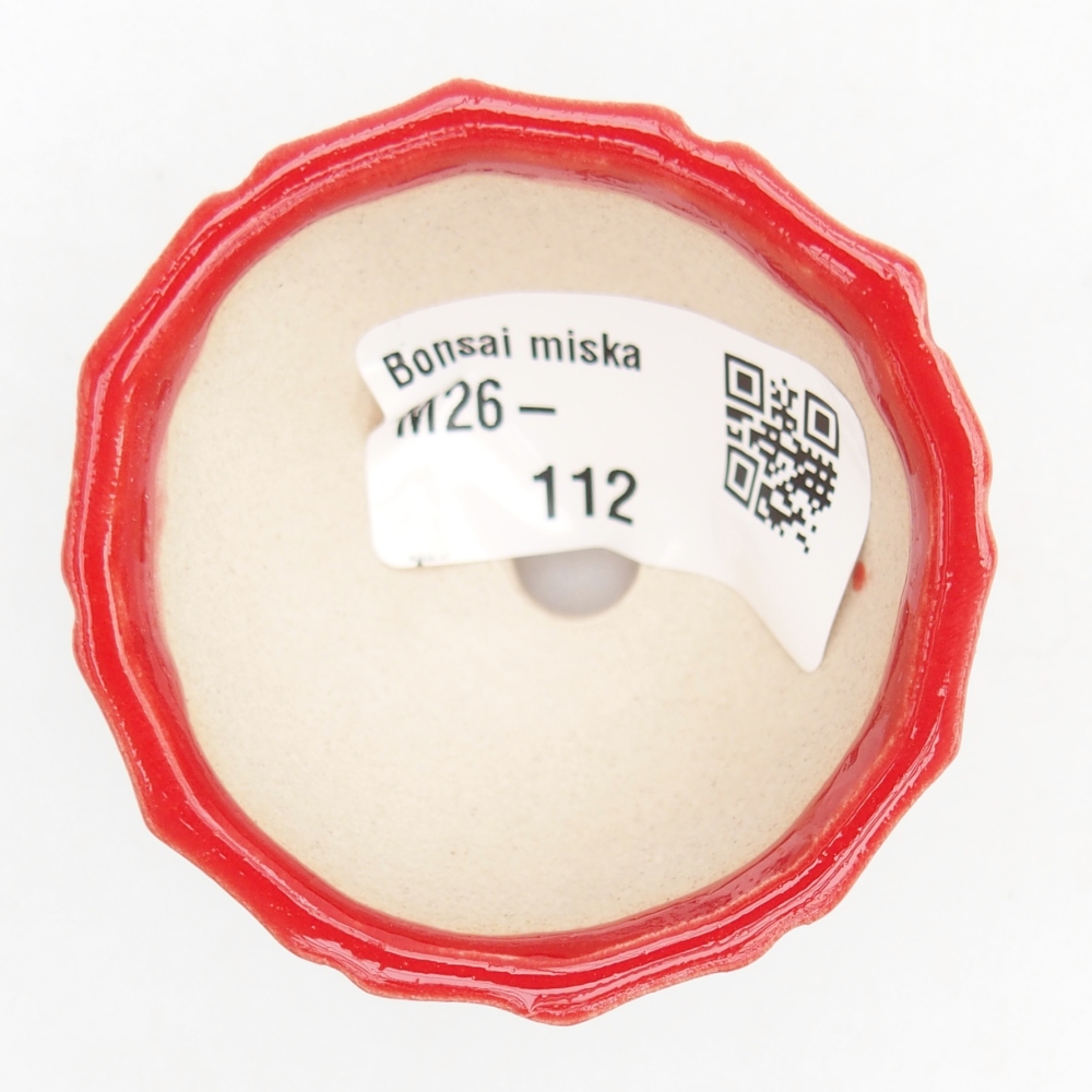 Mini cuenco bonsái 5,5 x 5,5 x 3,5 cm, color rojo