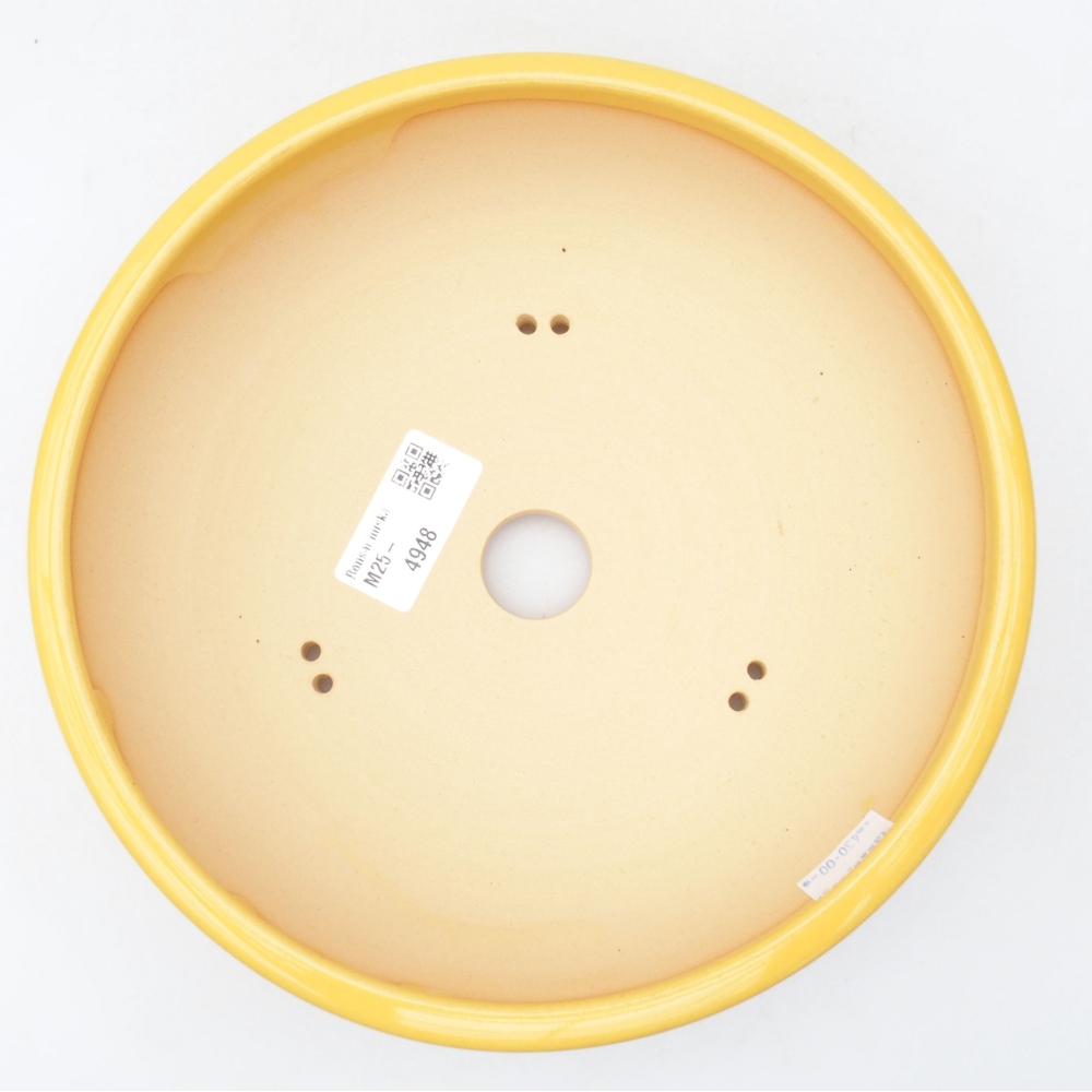 Cuenco bonsái de cerámica 20,5 x 20,5 x 6 cm, amarillo