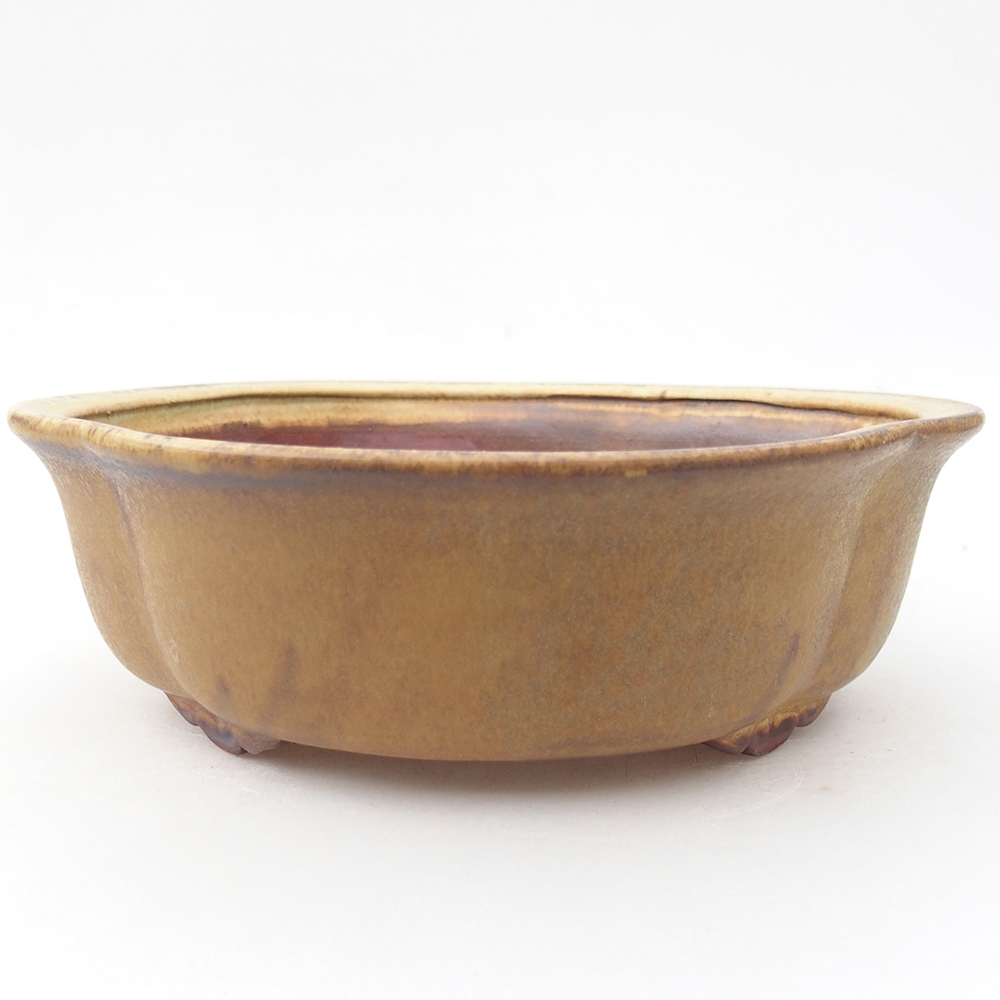 Cuenco bonsái de cerámica 19 x 17 x 6 cm, verde