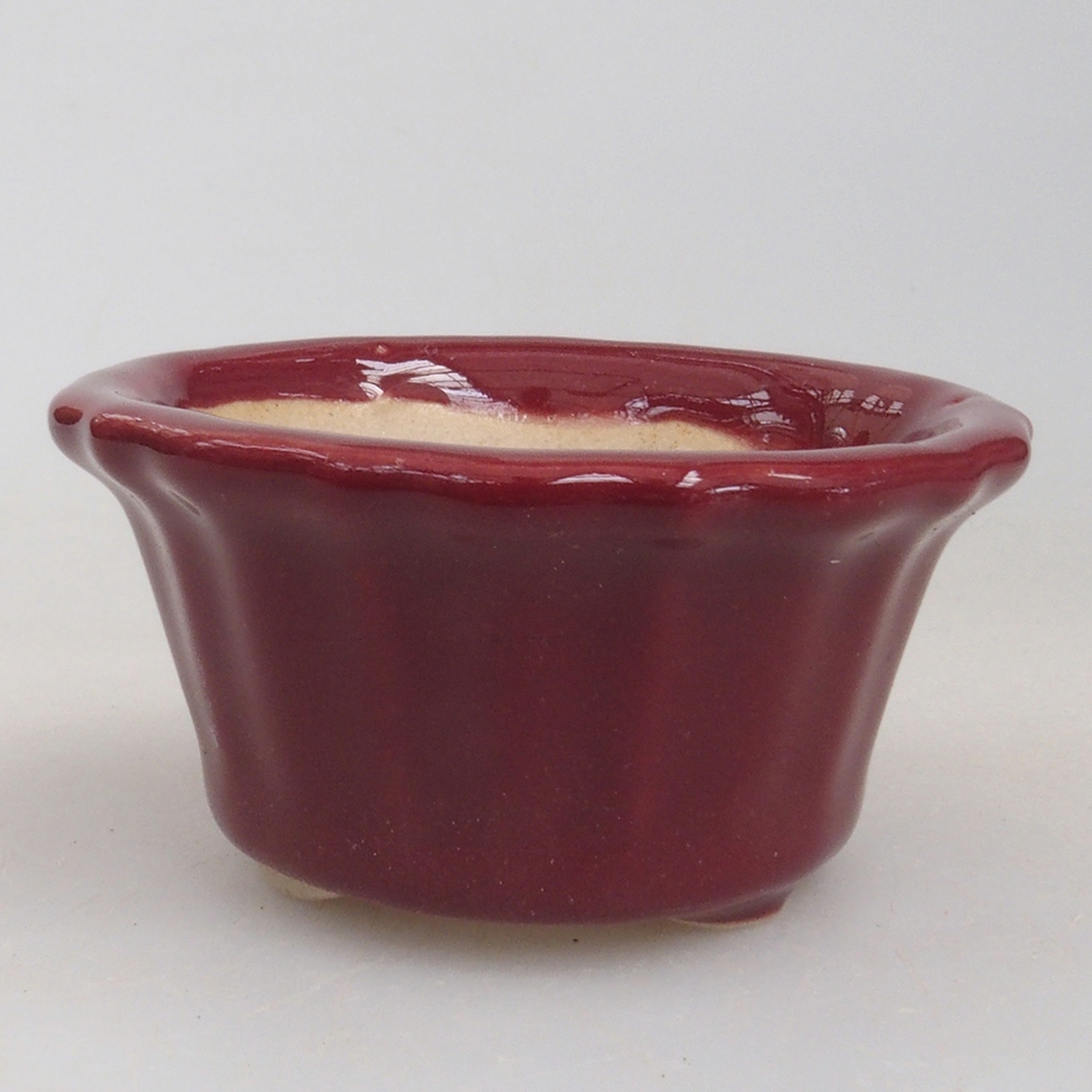 Mini cuenco bonsái 5 x 5 x 2,5 cm, color burdeos