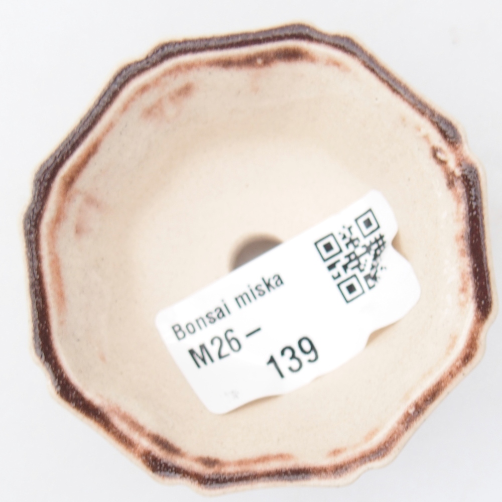 Cuenco mini bonsái 6 x 6 x 3 cm, rosa