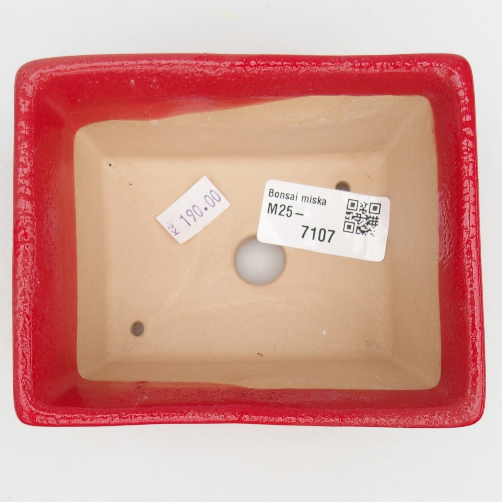 Cuenco bonsái de cerámica 11,5 x 9,5 x 6 cm, color rojo