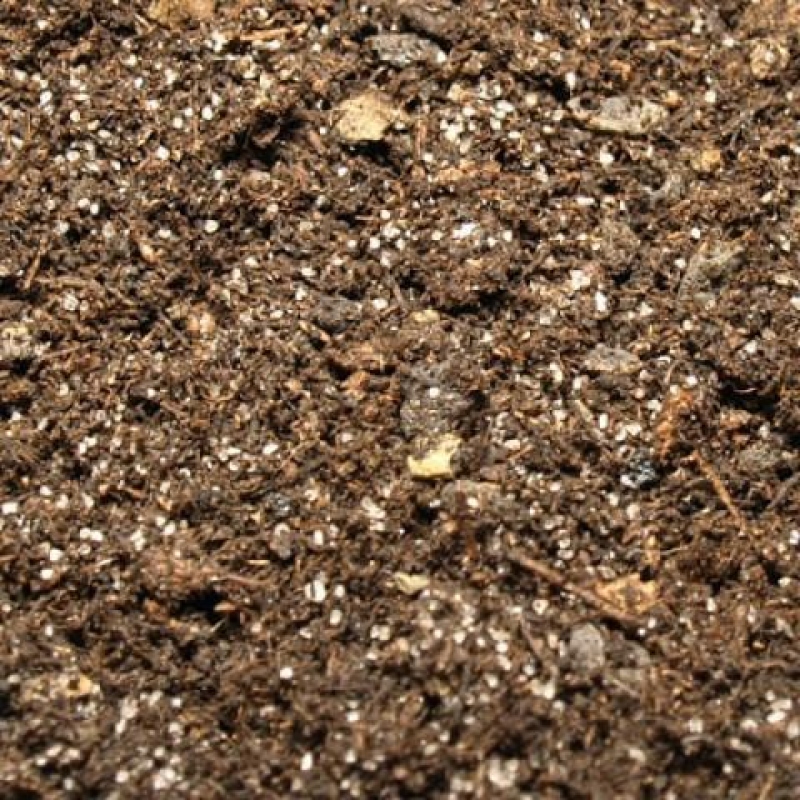 Tierra para bonsái 70 litros - Sólo recogida personal o transporte en palé