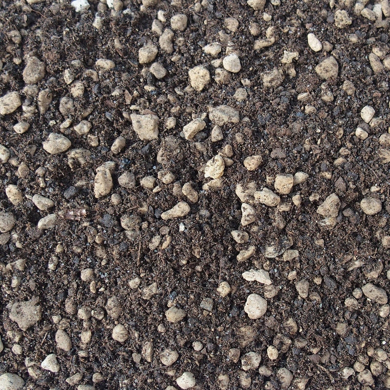 Bonsai Master Bonsai Master 14 litros