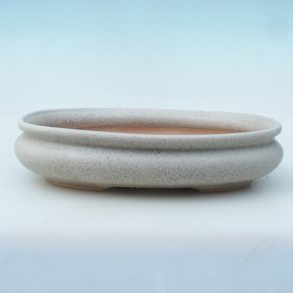 Cuenco bonsái H15 - 25,5 x 17,5 x 6 cm - beige