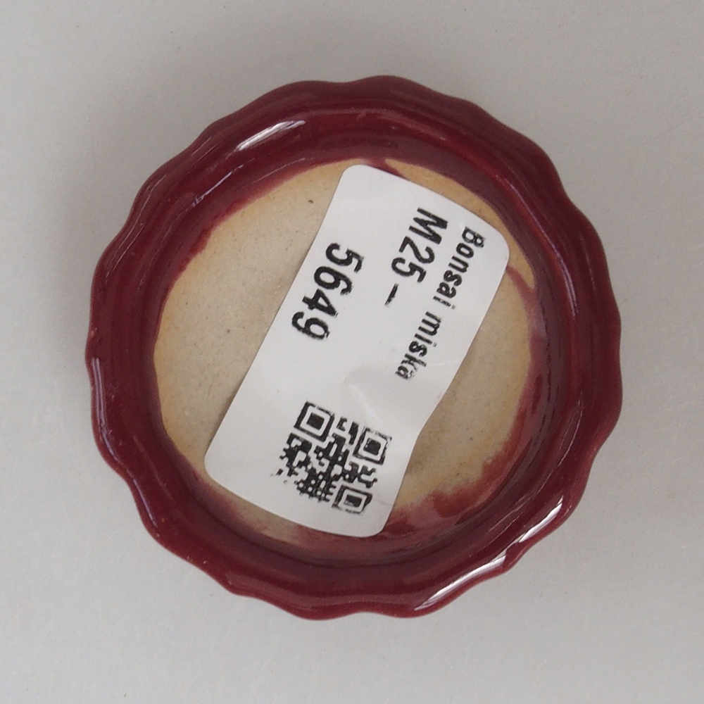 Mini cuenco bonsái 5 x 5 x 1,5 cm, color burdeos