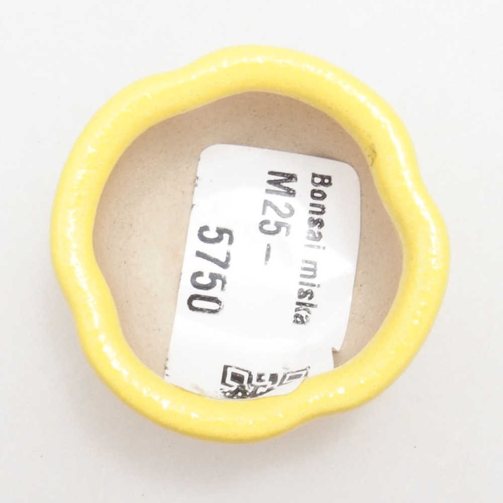 Cuenco bonsái de cerámica 4 x 4 x 2 cm, amarillo