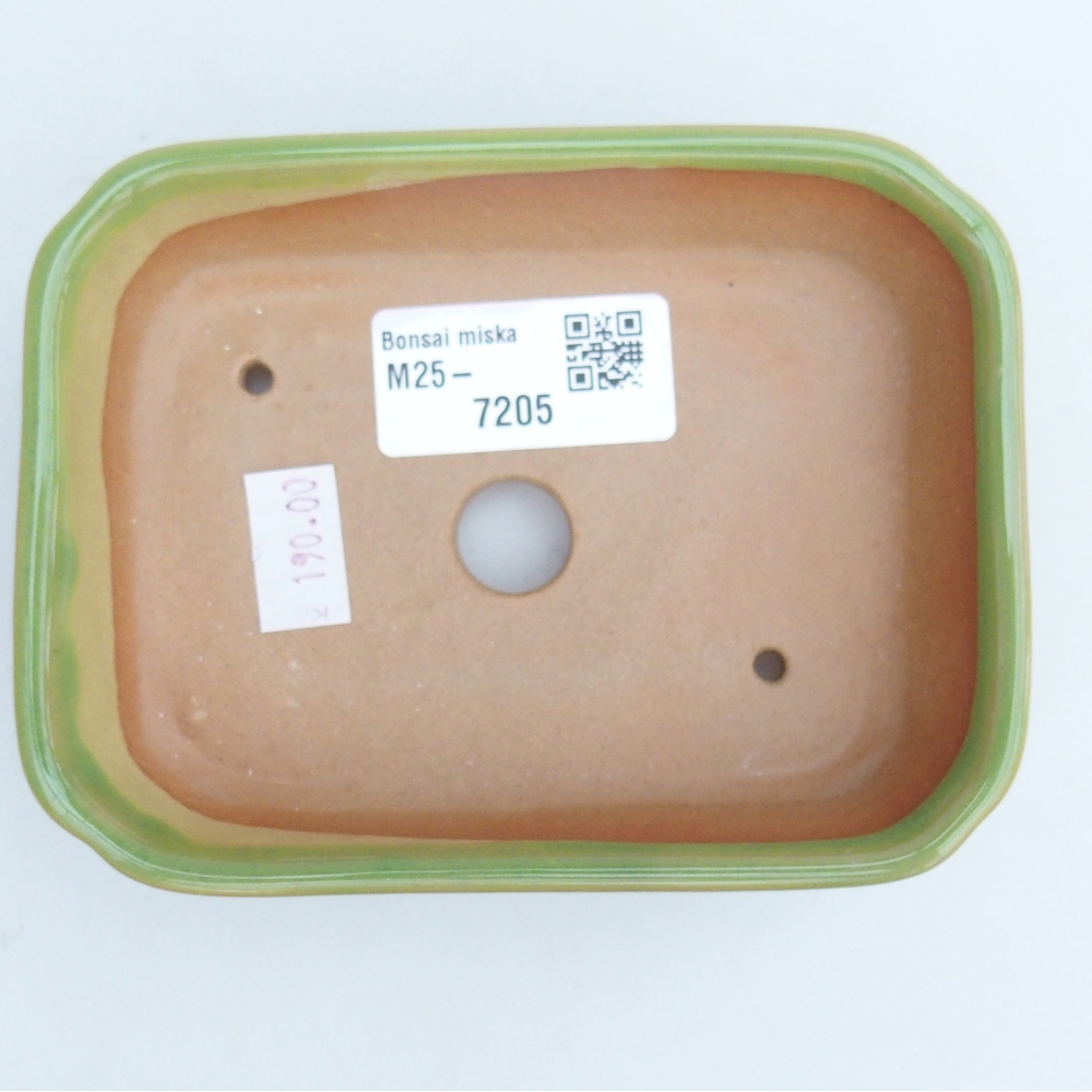 Cuenco bonsái de cerámica 12 x 9 x 3 cm, verde