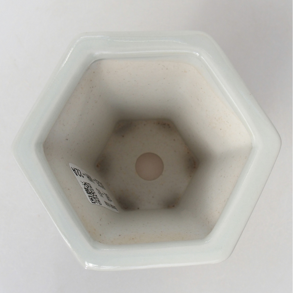 Cuenco bonsái de cerámica 10 x 9 x 9 cm, color blanco