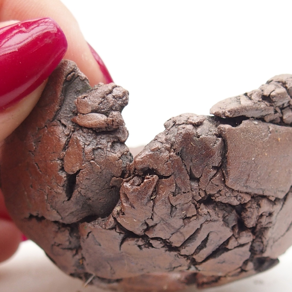 Concha de cerámica 6 x 6 x 4 cm , color marrón