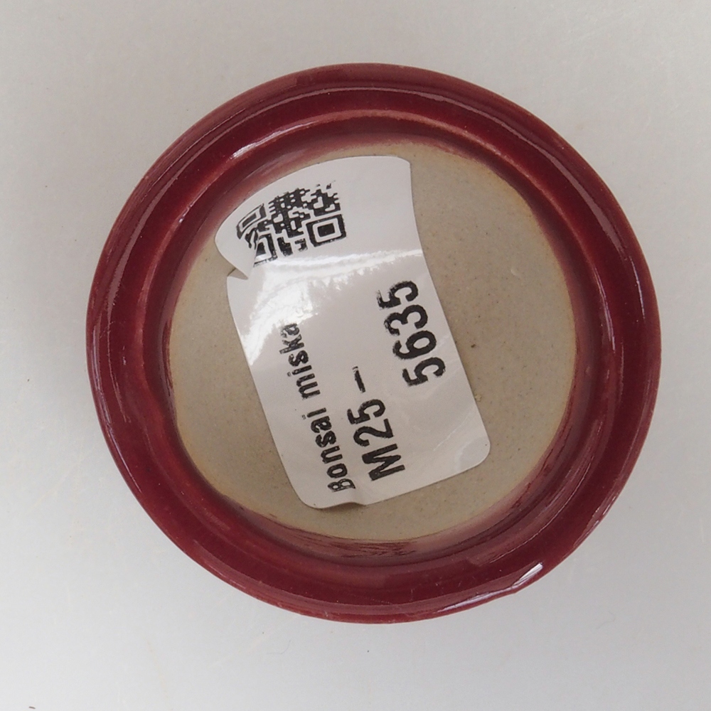 Cuenco mini bonsái 4,5 x 4,5 x 2,5 cm, burdeos